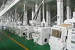 300 tpd automatic rice mill plant
